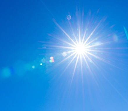 Heatwave: our top recipes and tips