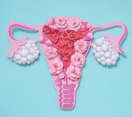 Best diet for PCOS 