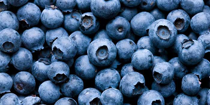 Fresh blueberries