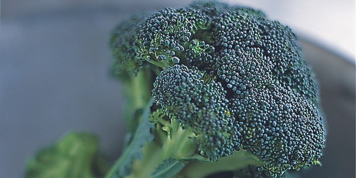 Extreme close-up of a head of broccoli