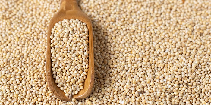 A wooden ladle full of millet resting on a bed of millet