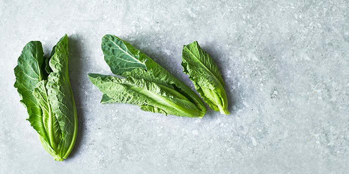Two heads of spring greens on a zinc counter top