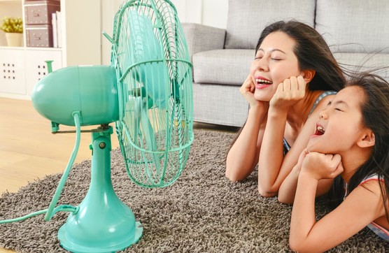 How to keep cool in a heatwave