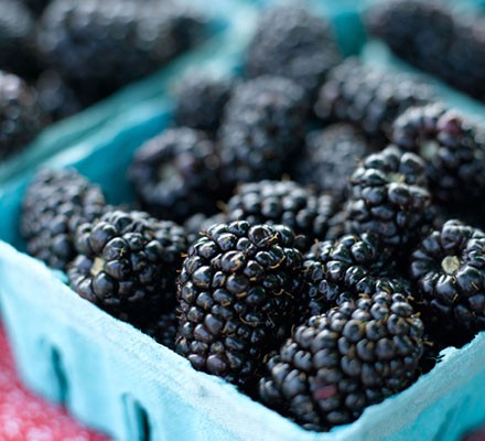 The health benefits of blackberries 