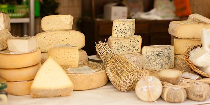 Blocks of different types of cheeses