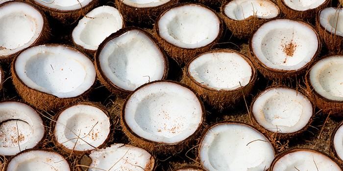 Split coconuts drying in the sun and to be used to make coconut oil, Kerala, India.