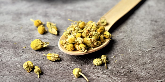 Chamomile tea dry flowers