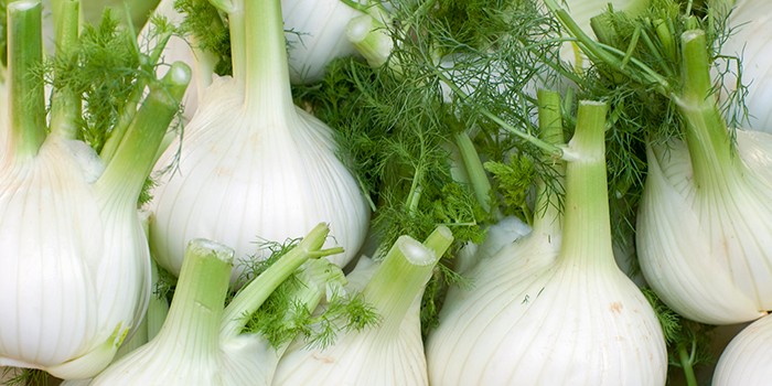 Fennel bulbs