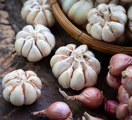 10 health benefits of garlic 