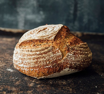Is bread healthy? 