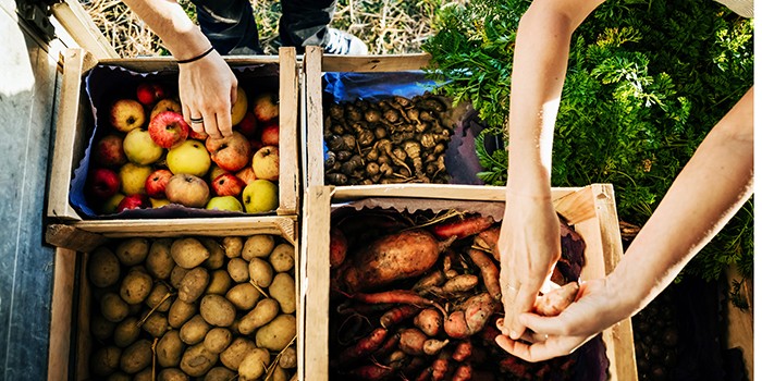 Organic fruit and veg market