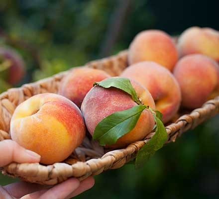 15 best foods to help you stay hydrated 