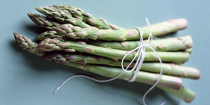 Bundle of asparagus tied with string