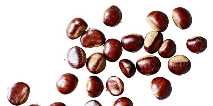 chestnuts on a white background