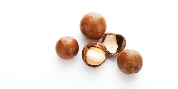 macadamia nuts on a white background