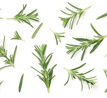 Health benefits of rosemary 