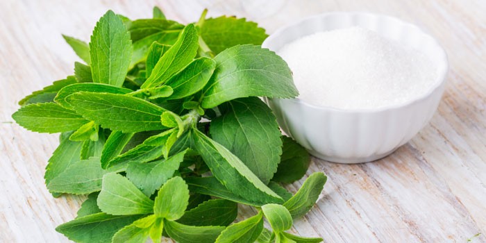 Is stevia good for you?