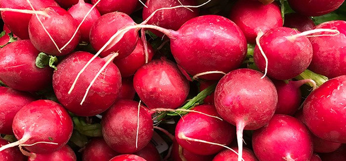Raw pink radishes