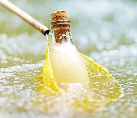 Cheat’s ginger beer recipe