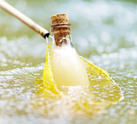 Cheat’s ginger beer recipe 