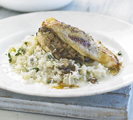 Mushroom-stuffed chicken with lemon thyme risotto recipe 