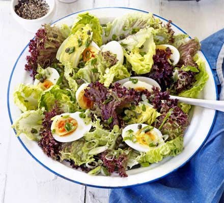 Egg and lettuce salad recipe 