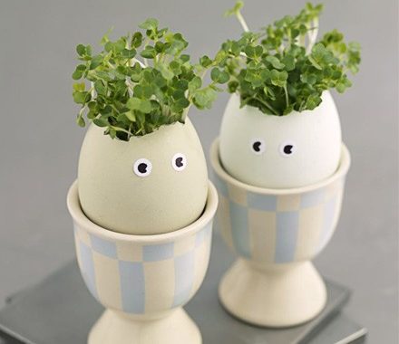 Crackin’ cress heads recipe