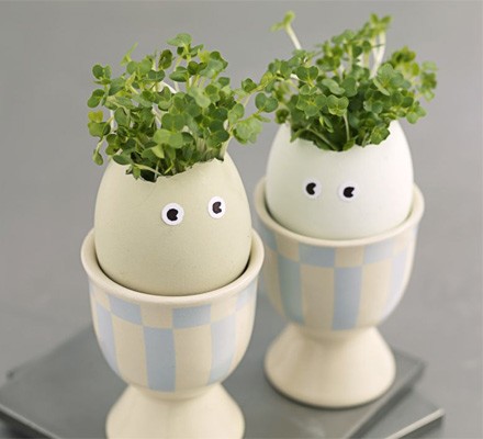 Crackin’ cress heads recipe 