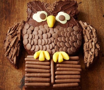 Chocolate owl cake recipe