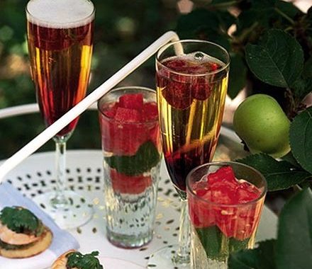 Watermelon gin spritzer recipe