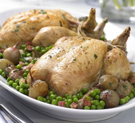 Herb-roast chicken recipe 