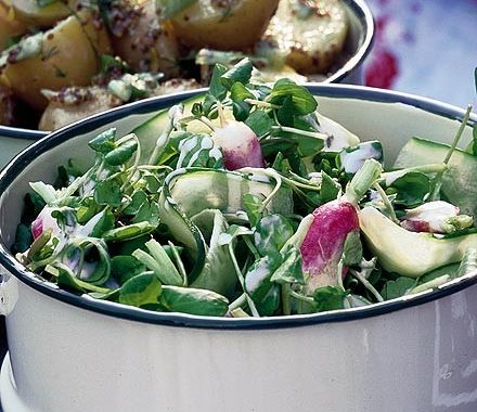Crunchy watercress, cucumber & radish salad recipe