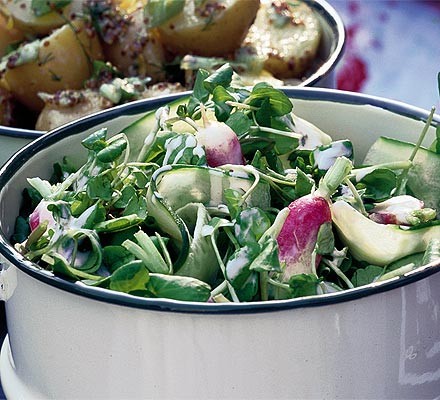 Crunchy watercress, cucumber & radish salad recipe 
