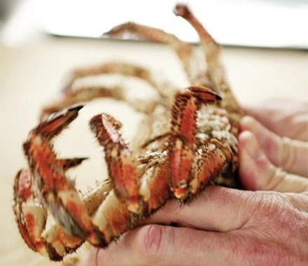 Cooking fresh crab recipe