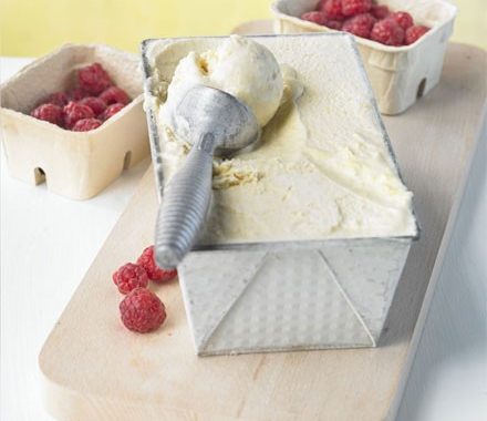 Easy melon ice cream recipe