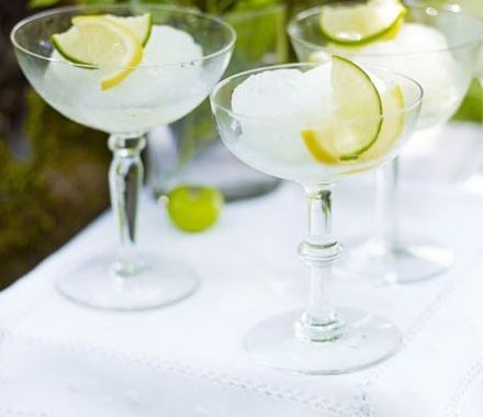 Gin & tonic sorbet recipe