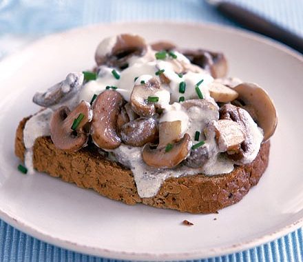 Mushroom stroganoff on toast recipe