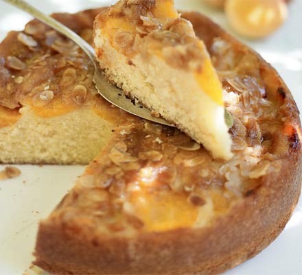Apricot butter cake recipe 
